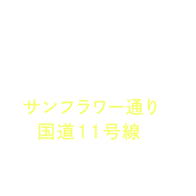 アクセス便利：サンフラワー通りと国道11号線の交差点