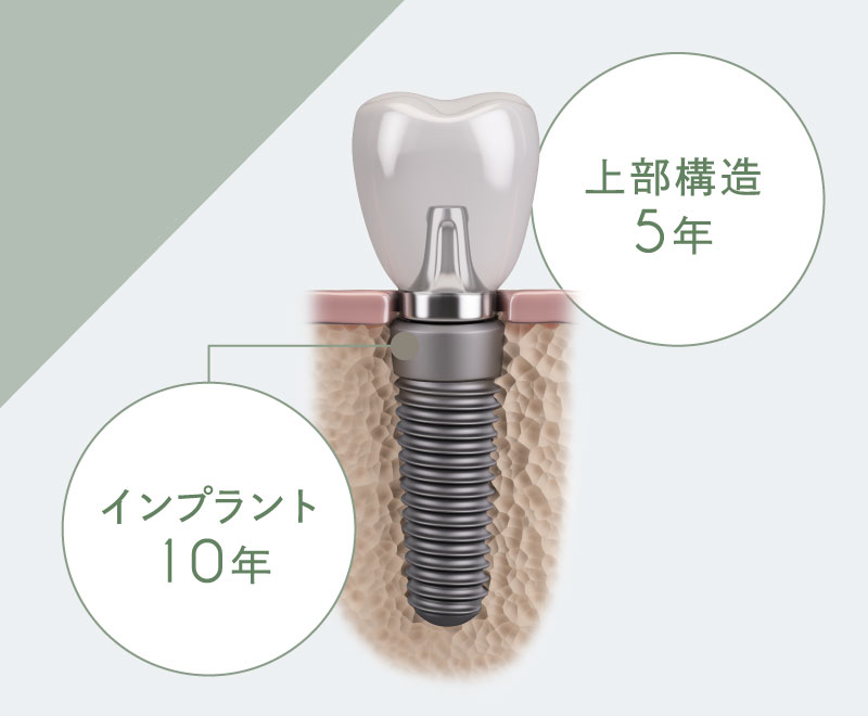 上部構造5年、インプラント10年
